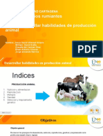 Desarrollar Habilidades de Producción Animal - Trabajo Colaborativo