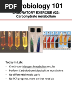 Microbiology 101: Laboratory Exercise #22: Carbohydrate Metabolism