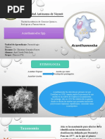 Acanthamoeba SPP