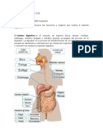 Grado 5 Ciencias Naturales 16 de Marzo 2020