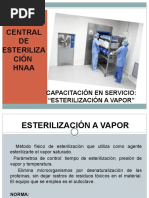 Capacitacion en Servicio - Vapor