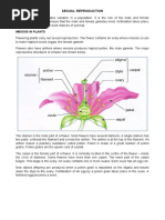 Sexual Reproduction