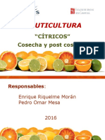 Presentación de FRUTICULTURA