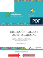 Presentación Dimension Salud Y Ambito Laboral Febrero 2020