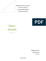 Bases Geneticas de La Evolución