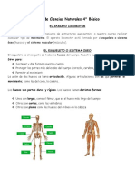 Guia Sistema Locomotor