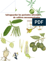 Salvaguardar Los Parientes Silvestres de Plantas Cultivadas en Mesoamerica