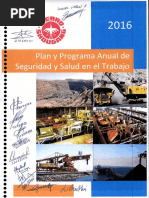 Plan y Programa Anual de Seguridad y Salud en El Trabajo P Á G I N A 1 INDICE