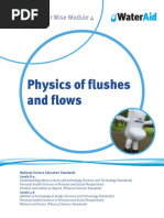 Physics of Flushes and Flows