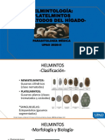 Helmintología: Platelmintos - Trematodos Del Hígado-: Parasitología Médica UPAO 2020-II