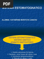 2.sistema Estomatognatico