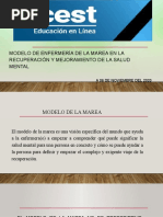 Modelo de Enfermería de La Marea en La Recuperación y Mejoramiento de La Salud Mental