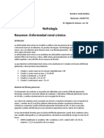 Resumen de Insuficiencia Renal Cronica