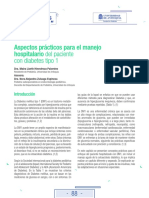 Diabetes Tipo 1 PDF