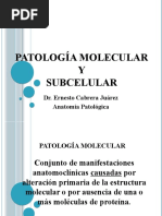 02 Patología Molecular y Subcelular Poli 2020 Nva