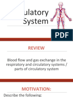 Circulatory System