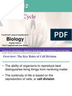 Cell Cycle