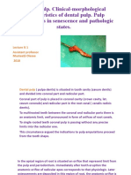 Presentation1. Dental Pulp