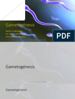 Gametogénesis