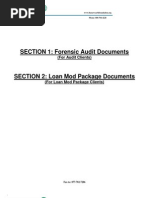 SECTION 1: Forensic Audit Documents