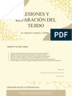 Lesiones y Reparación Del Tejido