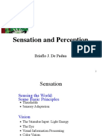 Sensation and Perception