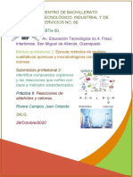 Práctica 6 - Sub.2 - Reacciones de Aldehídos y Cetonas - Rivera Campos Juan Orlando - P.2 - 3ALQ