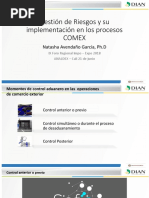 05 Natasha Avendaño - DIAN - Gestion de Riesgos y Su Implementacion en Los Procesos COMEX