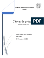 Revision Bibliografica de Cancer de Prostata