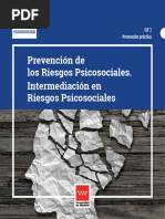 Prevencion de Los Riesgos Psicosociales