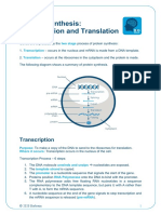 Protein Synthesis Transcription and Translation Distance Learning