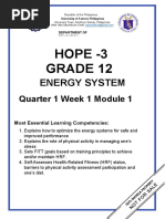 Hope - 3 Grade 12: Energy System