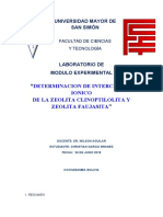 Determinacion de Intercambio Ionico de La Zeolita Clinoptilolita y Zeolita Faujasita