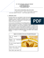 Informe de Drosophila