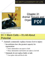 Animal Tissues and Organ Systems