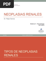 S36. Neoplasias Renales