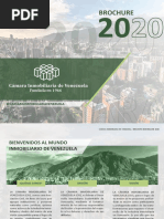 Brochure Último - Venezuela 2021 Forzando La Barra