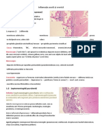 1.1.pericardita Fibrinoasa (Crupoasa) : Inflamaţia Acută Şi Cronică