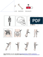 Nuestro Cuerpo Los Huesos PDF