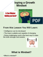 Lesson 2 Growth Mindset