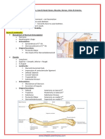 A&P - 7. Shoulder Girdle & Upper Limb Detailed Anatomy (42p)