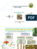 Instituto de Educación Superior Tecnológico Público Mañazo