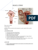 Fibromul Uterin 1