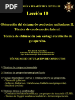 Leccion 10-Obturacion. Cond Lat. Vastago PDF