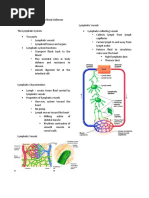 The Lymphatic System and Body Defenses