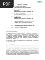 Modelo de Informe Mensual Consultores SEDES