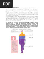 FISIOLOGÍA DE LOS NUTRIENTES. Bromatología Resumendocx