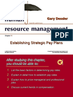 Establishing Strategic Pay Plans