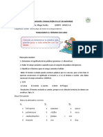 Termino Excluido - Docx 2