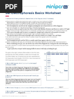 Gel Electrophoresis Basics Worksheet: Name